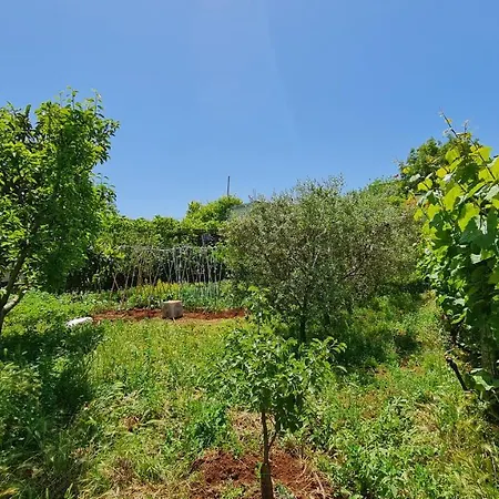 Village Next To The Sea * Saranda